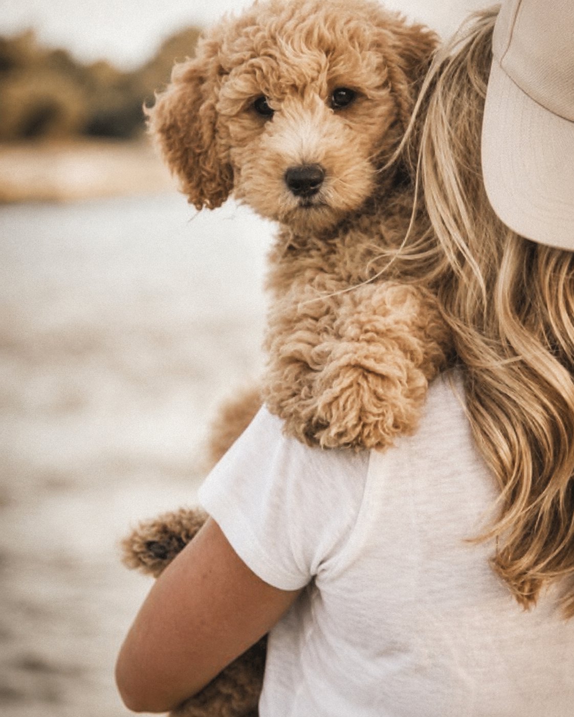 A young woman carrying her apricot Texas Doodles Goldendoodle puppy over her shoulder near the water