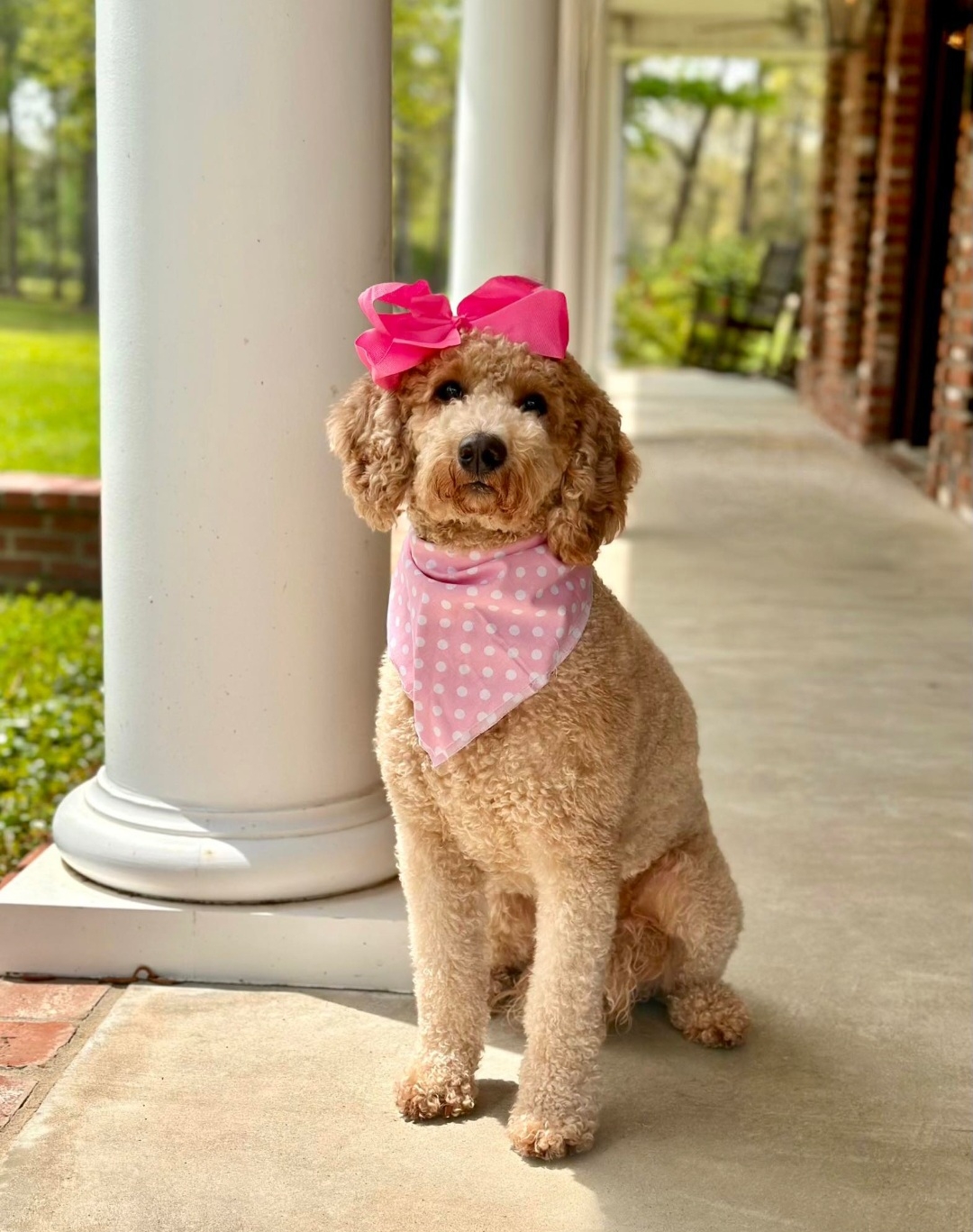Roxy